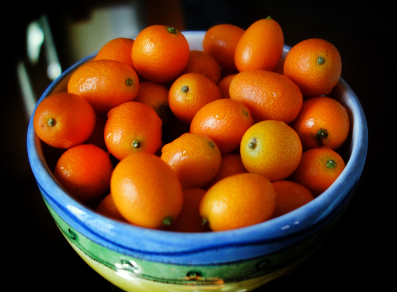 Kumquat-Lemon Dipping Sauce | All That Cooking